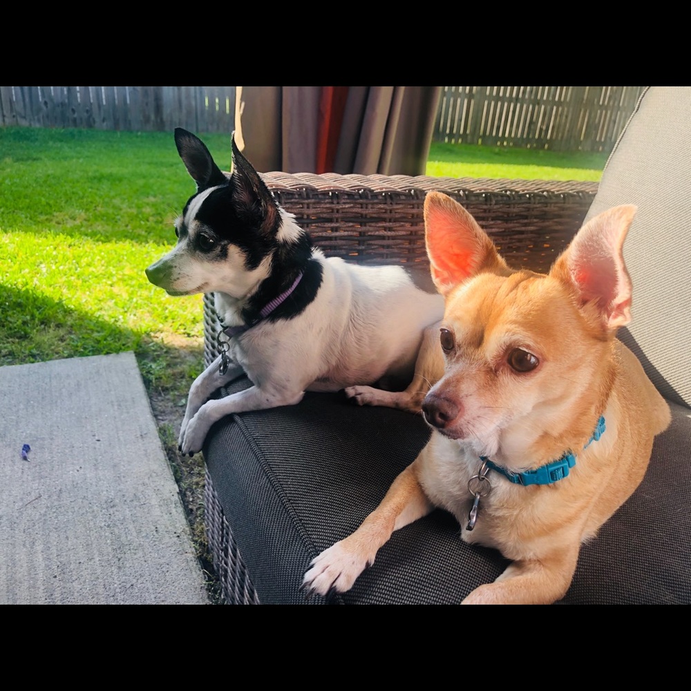 Meet your Posher, Risa